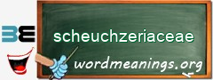 WordMeaning blackboard for scheuchzeriaceae